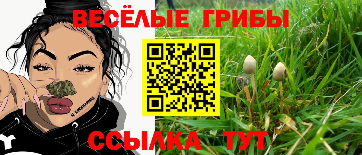 Псилоцибиновые грибы прущие грибы Тихорецк