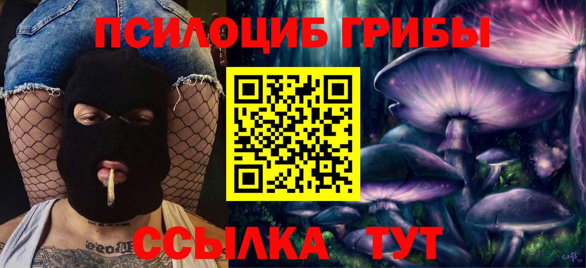 Тихорецк  Псилоцибиновые грибы Cubensis  Вход с VPN 